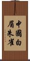 中國白眉朱雀 Scroll