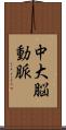 中大脳動脈 Scroll