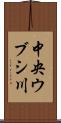 中央ウブシ川 Scroll