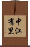 中江有里 Scroll