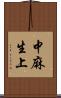 中麻生上 Scroll