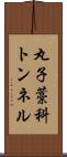 丸子藁科トンネル Scroll