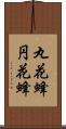 丸花蜂 Scroll