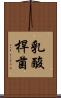 乳酸桿菌 Scroll