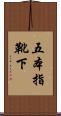 五本指靴下 Scroll