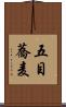 五目蕎麦 Scroll