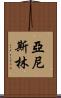 Yanis Lim Scroll