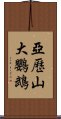 亞歷山大鸚鵡 Scroll