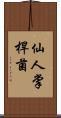 仙人掌桿菌 Scroll