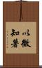 以微知著 Scroll