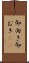 仰向き Scroll