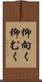 仰向く Scroll