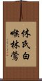 休氏白喉林鶯 Scroll