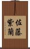 佐藤紫蘭 Scroll