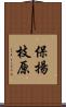 保揚枝原 Scroll