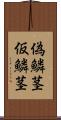 偽鱗茎 Scroll