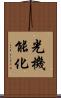 光機能化 Scroll