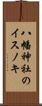 八幡神社のイスノキ Scroll