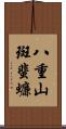 八重山斑蜚蠊 Scroll