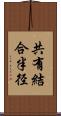 共有結合半径 Scroll