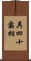 具四十齒相 Scroll