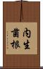 内生菌根 Scroll