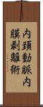 内頚動脈内膜剥離術 Scroll