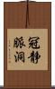 冠静脈洞 Scroll