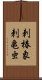 刺椿象;刺亀虫 Scroll