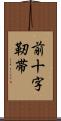 前十字靭帯 Scroll