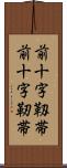 前十字靱帯 Scroll