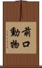 前口動物 Scroll