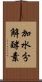 加水分解酵素 Scroll