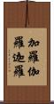 加羅 Scroll