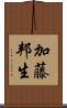 加藤邦生 Scroll