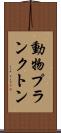 動物プランクトン Scroll