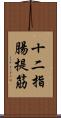 十二指腸提筋 Scroll