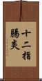 十二指腸炎 Scroll