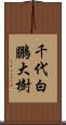 千代白鵬大樹 Scroll