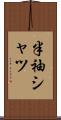 半袖シャツ Scroll