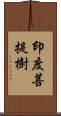 印度菩提樹 Scroll