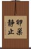 卵巣静止 Scroll