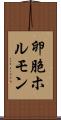 卵胞ホルモン Scroll