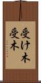 受け木 Scroll