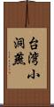 台湾小洞燕 Scroll