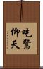 吃驚仰天 Scroll