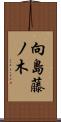 向島藤ノ木 Scroll