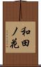 和田ノ花 Scroll