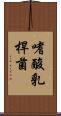 嗜酸乳桿菌 Scroll