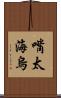 嘴太海烏 Scroll